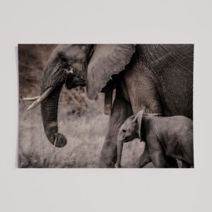 EARTHLY ELEPHANT