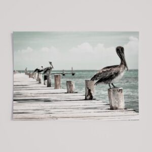 EARTHLY PELICAN