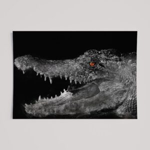 WINDOW TO THE SOUL - CROCODILE