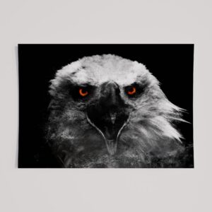 WINDOW TO THE SOUL - EAGLE