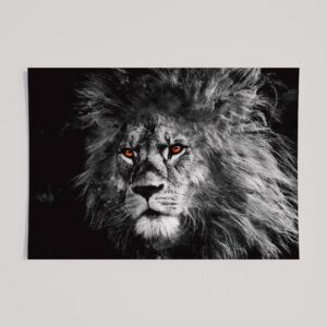 WINDOW TO THE SOUL - LION