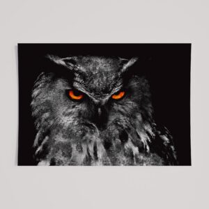WINDOW TO THE SOUL - OWL