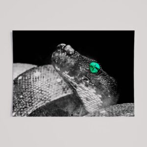 WINDOW TO THE SOUL - SNAKE