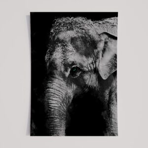 WINDOW TO THE SOUL - ELEPHANT