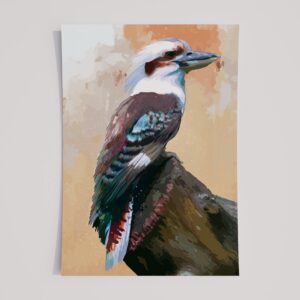 LAUGHING KOOKABURRA