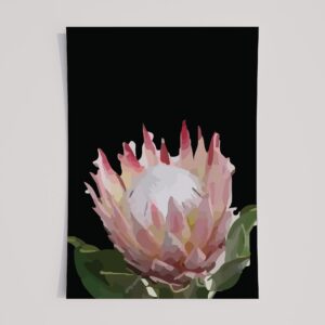 SOFT PROTEA 2
